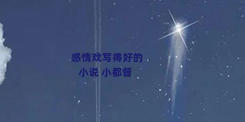 感情戏写得好的小说 小都督